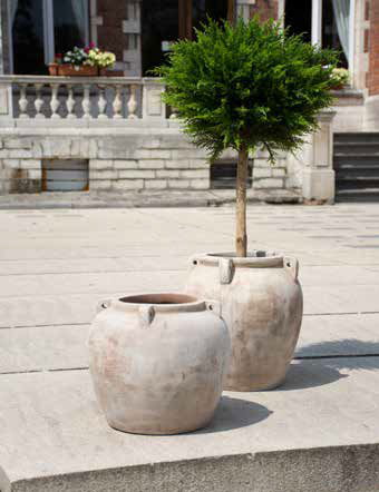 Résistante au gel, nous vous proposons une gamme étendue de poteries en terre cuite du plus bel effet nature 