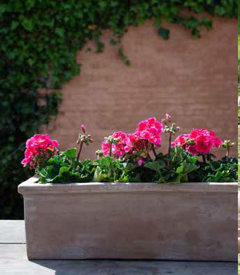 Résistante au gel, nous vous proposons une gamme étendue de poteries en terre cuite du plus bel effet nature 