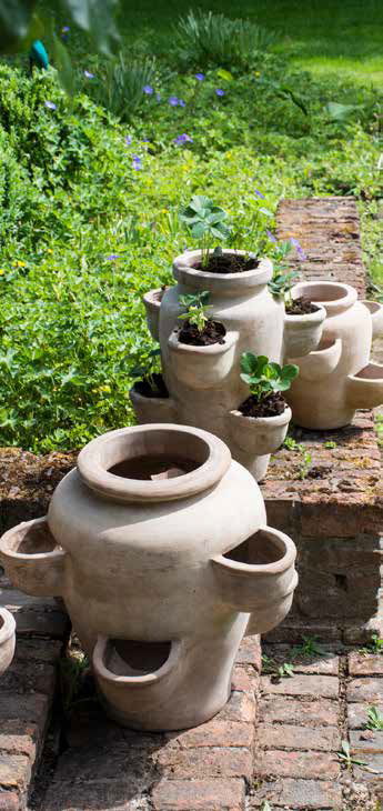 Résistante au gel, nous vous proposons une gamme étendue de poteries en terre cuite du plus bel effet nature 