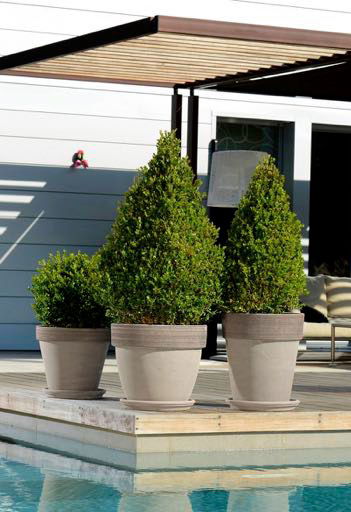 Résistante au gel, nous vous proposons une gamme étendue de poteries en terre cuite du plus bel effet nature 