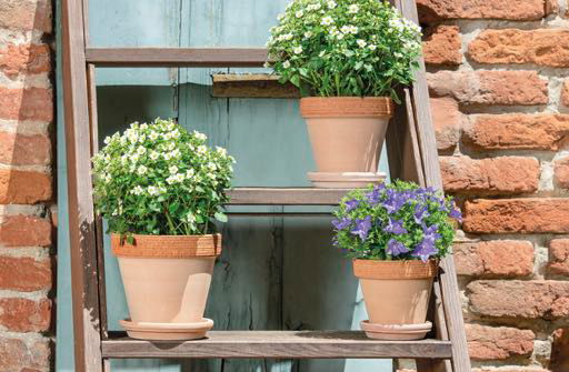 Résistante au gel, nous vous proposons une gamme étendue de poteries en terre cuite du plus bel effet nature 