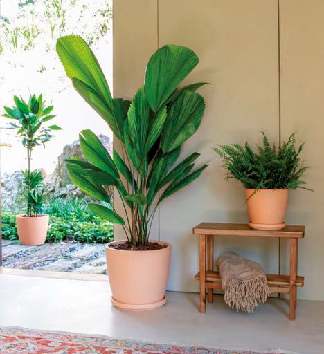 Résistante au gel, nous vous proposons une gamme étendue de poteries en terre cuite du plus bel effet nature 