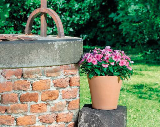 Résistante au gel, nous vous proposons une gamme étendue de poteries en terre cuite du plus bel effet nature 