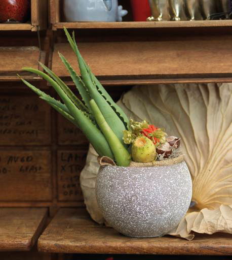 Résistante au gel, nous vous proposons une gamme étendue de poteries en terre cuite du plus bel effet nature 