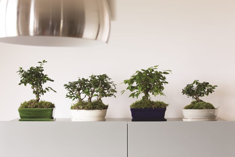 Choix de forme et de couleur infini pour varier les plaisir et habiller un intérieur