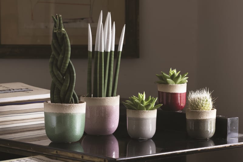 Choix de forme et de couleur infini pour varier les plaisir et habiller un intérieur