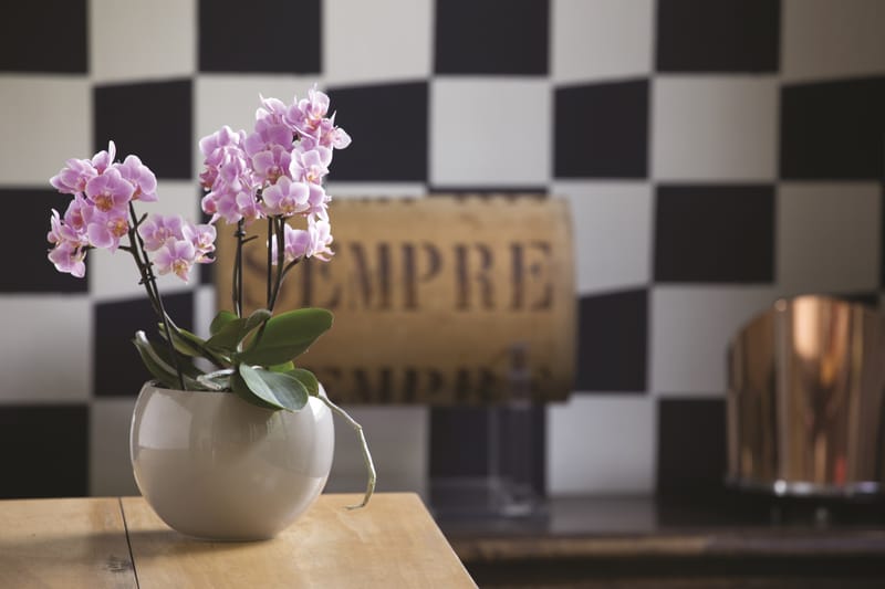 Choix de forme et de couleur infini pour varier les plaisir et habiller un intérieur