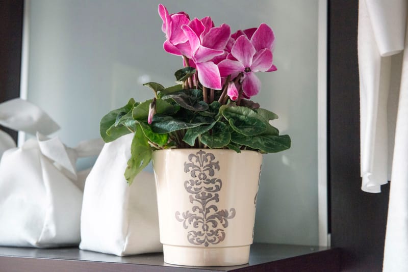 Choix de forme et de couleur infini pour varier les plaisir et habiller un intérieur