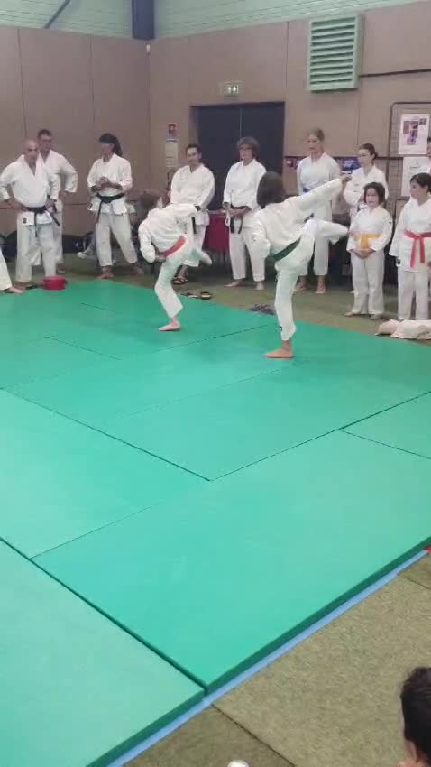 Démonstrations du Festiv'Assos