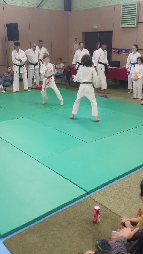 Démonstrations du Festiv'Assos