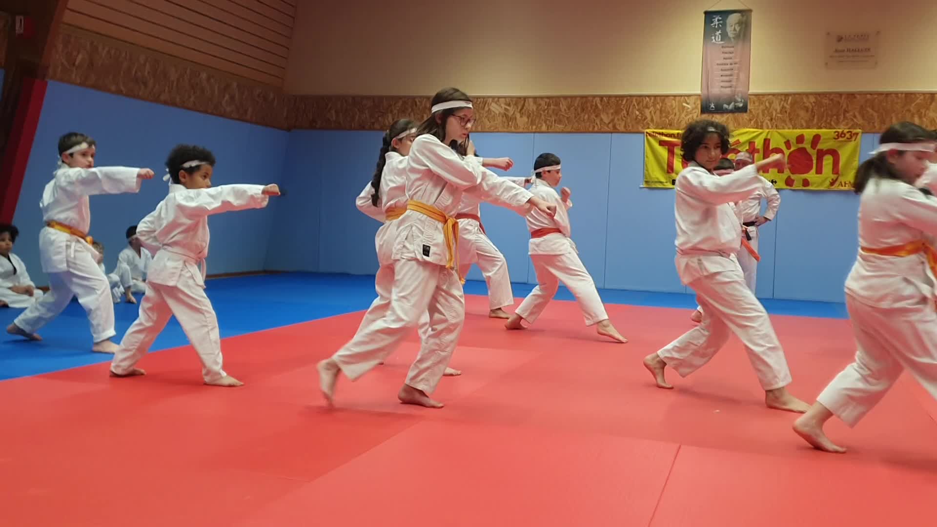 TELETHON 2025 à La Ferté Saint Aubin