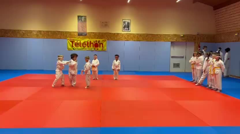 TELETHON 2025 à La Ferté Saint Aubin