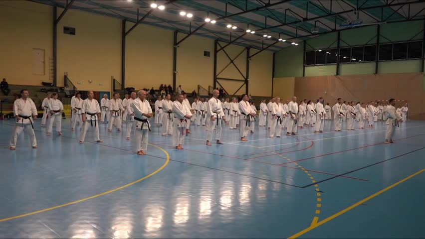 Stage Fumitoshi KANAZAWA le 13/02/2026 à la Ferté Saint Aubin