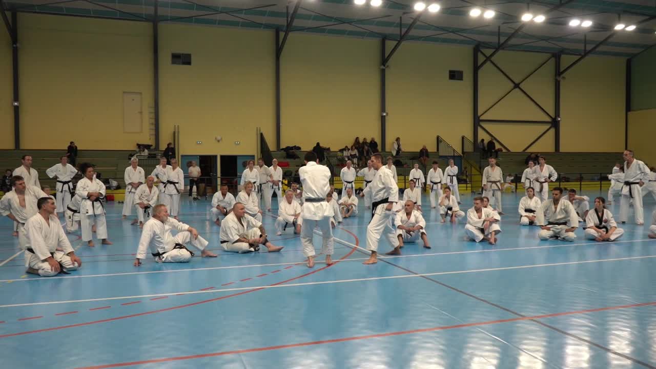 Stage Fumitoshi KANAZAWA le 13/02/2026 à la Ferté Saint Aubin