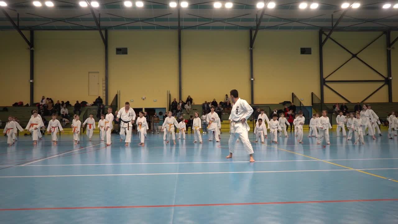 Stage Fumitoshi KANAZAWA le 13/02/2026 à la Ferté Saint Aubin