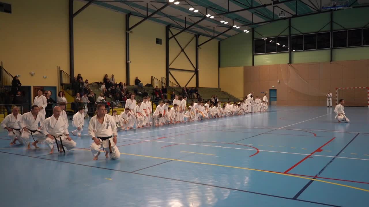 Stage Fumitoshi KANAZAWA le 13/02/2026 à la Ferté Saint Aubin