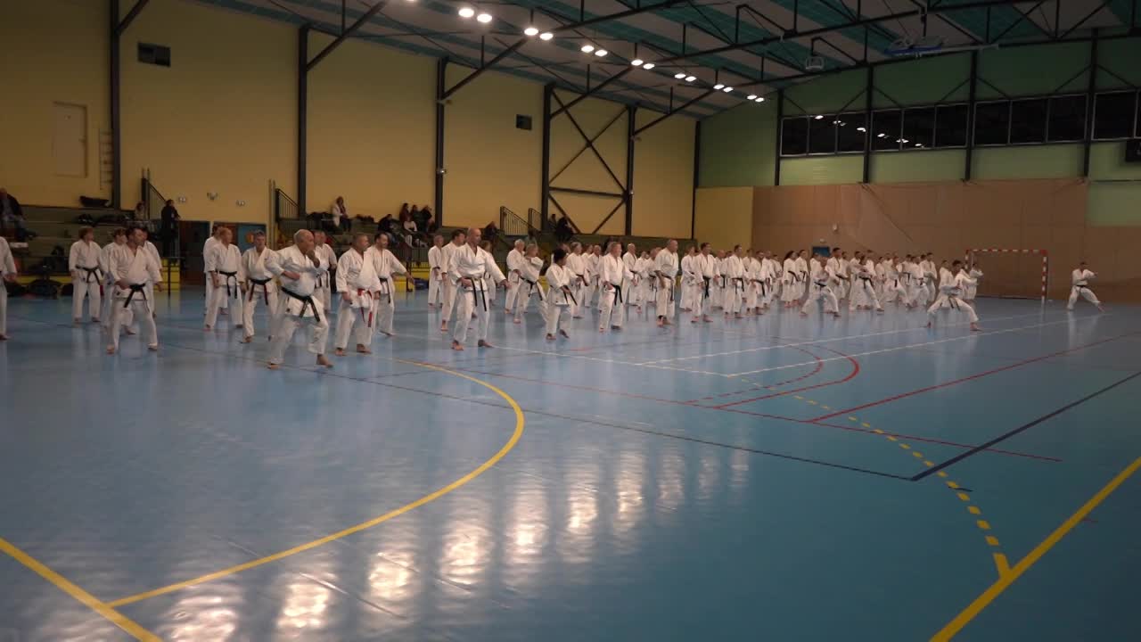 Stage Fumitoshi KANAZAWA le 13/02/2026 à la Ferté Saint Aubin