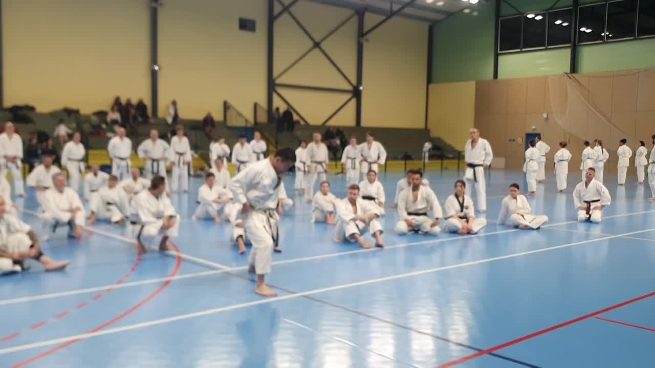 Stage Fumitoshi KANAZAWA le 13/02/2026 à la Ferté Saint Aubin