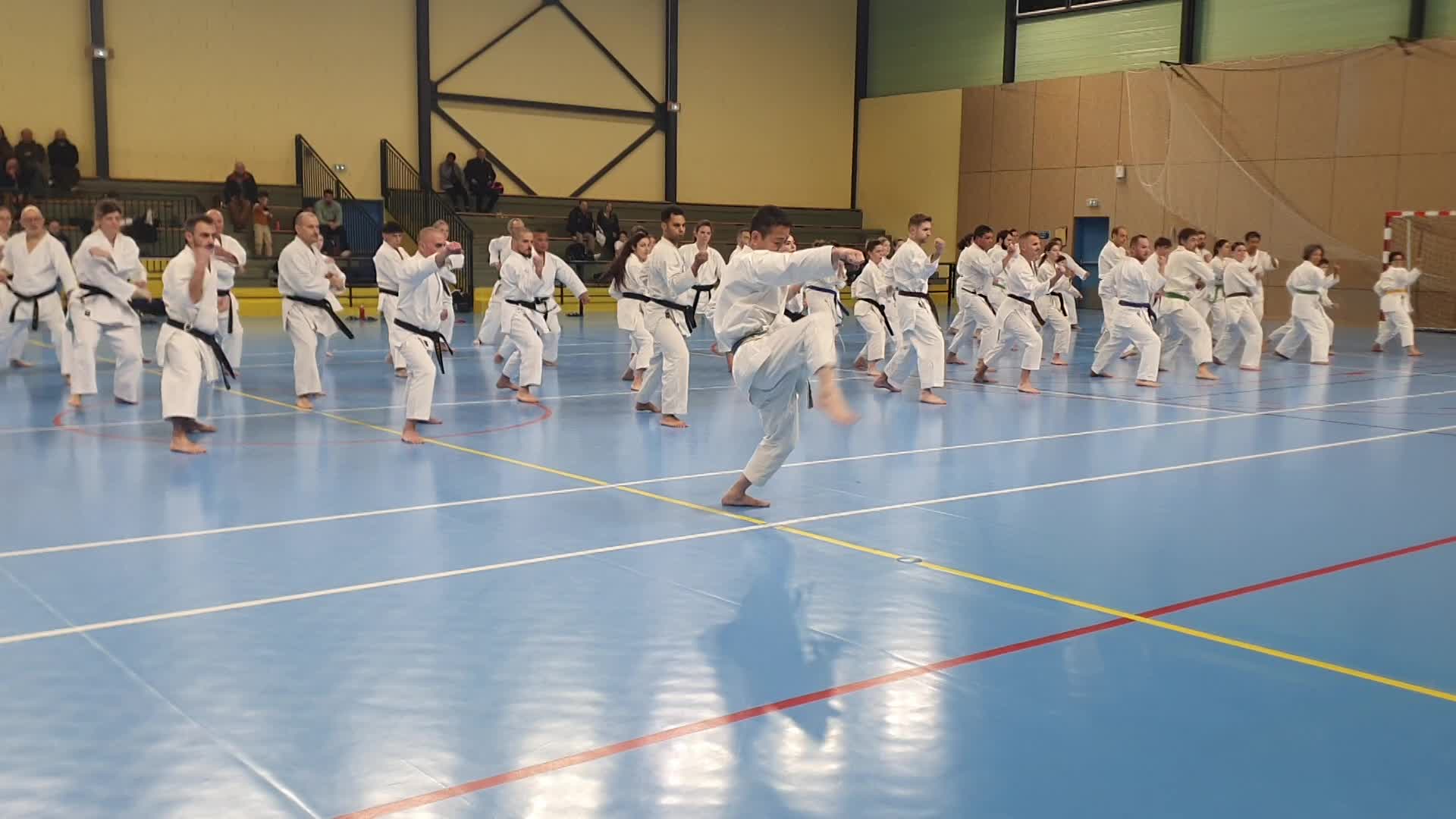 Stage Fumitoshi KANAZAWA le 13/02/2026 à la Ferté Saint Aubin