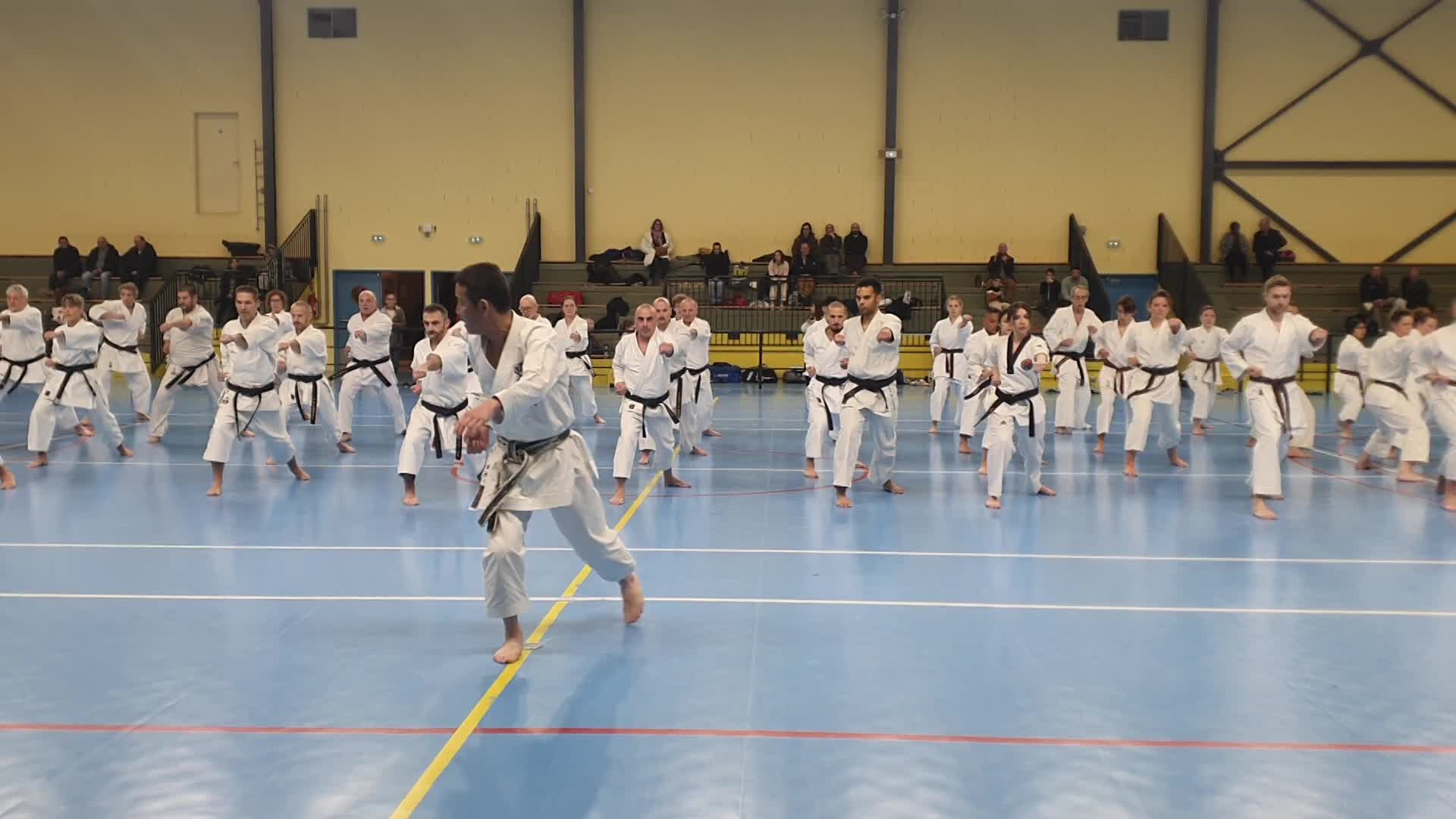 Stage Fumitoshi KANAZAWA le 13/02/2026 à la Ferté Saint Aubin