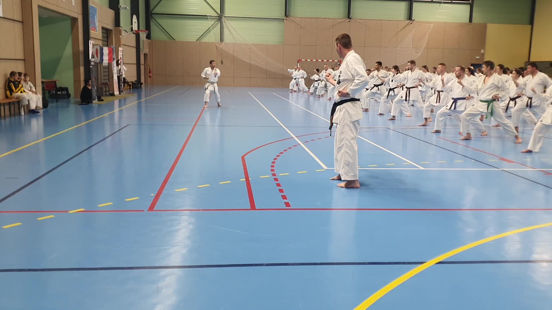 Stage Fumitoshi KANAZAWA le 13/02/2026 à la Ferté Saint Aubin