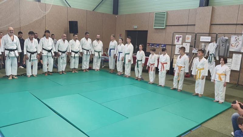 Démonstrations du Festiv'Assos