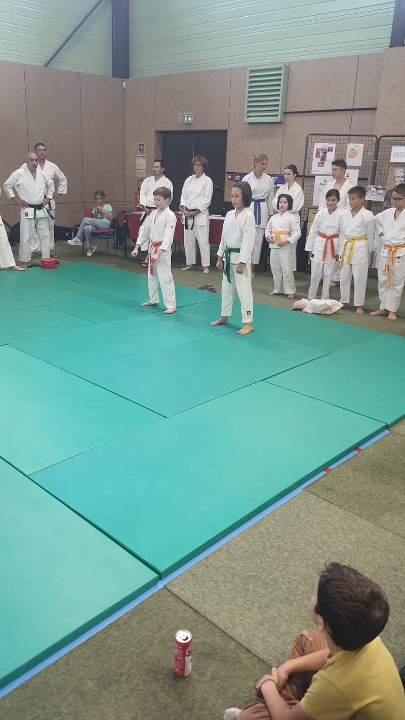 Démonstrations du Festiv'Assos