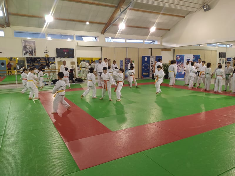 Stage Enfants - St Jean le Blanc - 07-12-2024