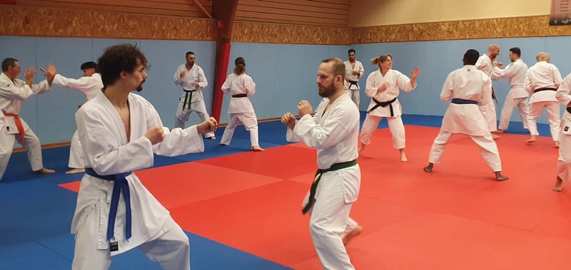 Stage avec Didier BEAUJEAN le 31-01-2025