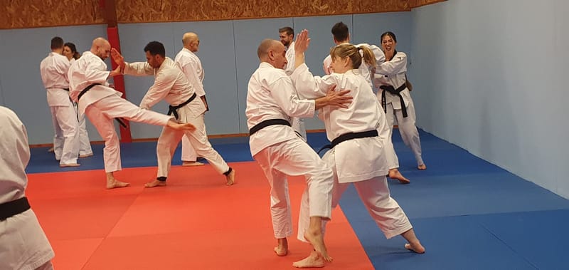 Stage avec Didier BEAUJEAN le 31-01-2025