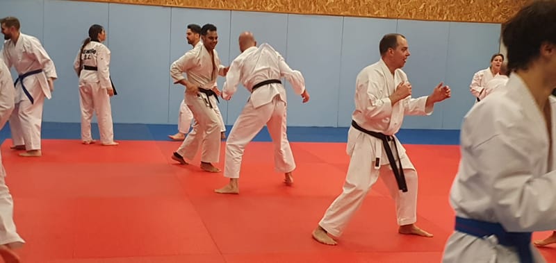 Stage avec Didier BEAUJEAN le 31-01-2025