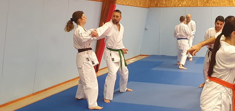 Stage avec Didier BEAUJEAN le 31-01-2025