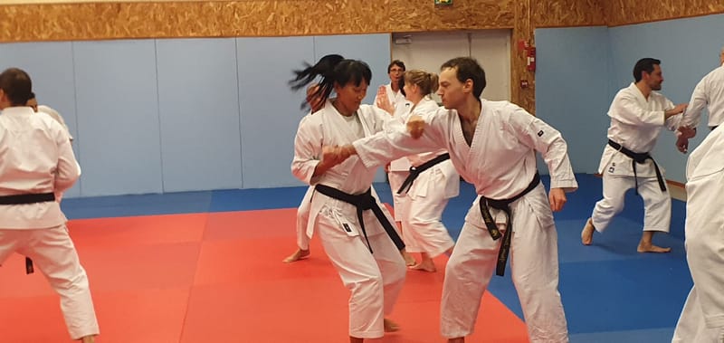 Stage avec Didier BEAUJEAN le 31-01-2025