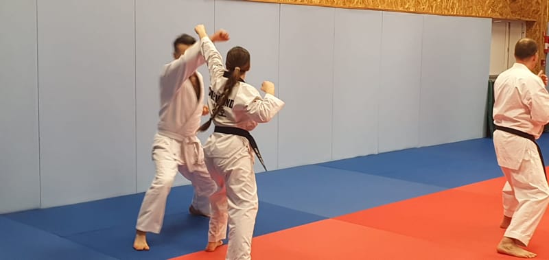 Stage avec Didier BEAUJEAN le 31-01-2025