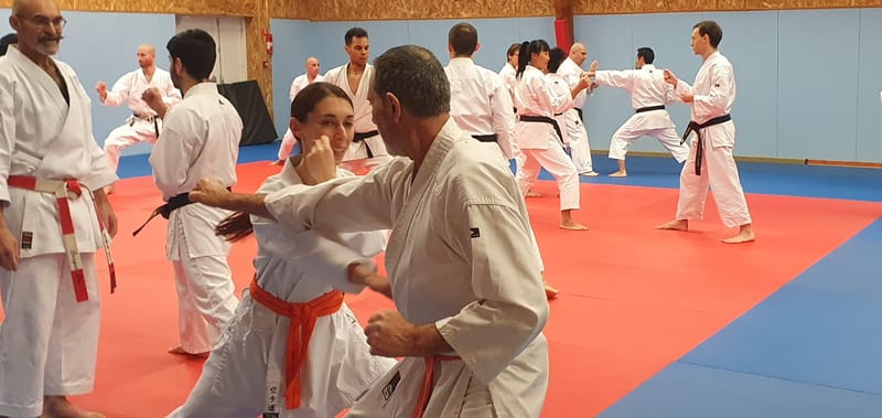 Stage avec Didier BEAUJEAN le 31-01-2025