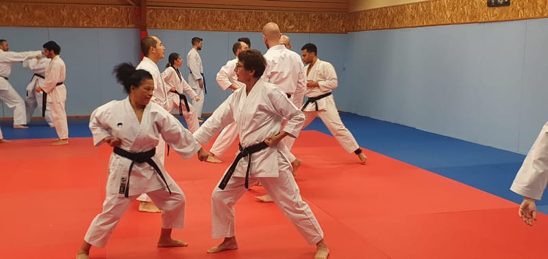 Stage avec Didier BEAUJEAN le 31-01-2025