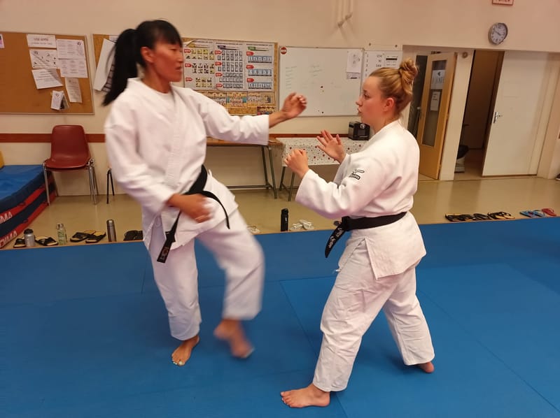 Stage Maurice GHORZI 7ème DAN - Karaté Do Club de Bourges - Samedi 17/05/2025