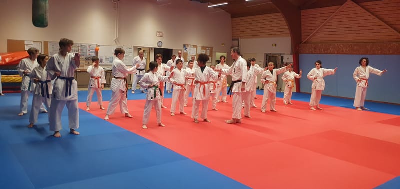 Stage Stéphane CASTRIQUE 7ème DAN SKIF - 03/11/2025