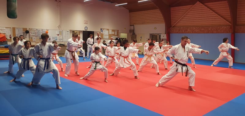 Stage Stéphane CASTRIQUE 7ème DAN SKIF - 03/11/2025