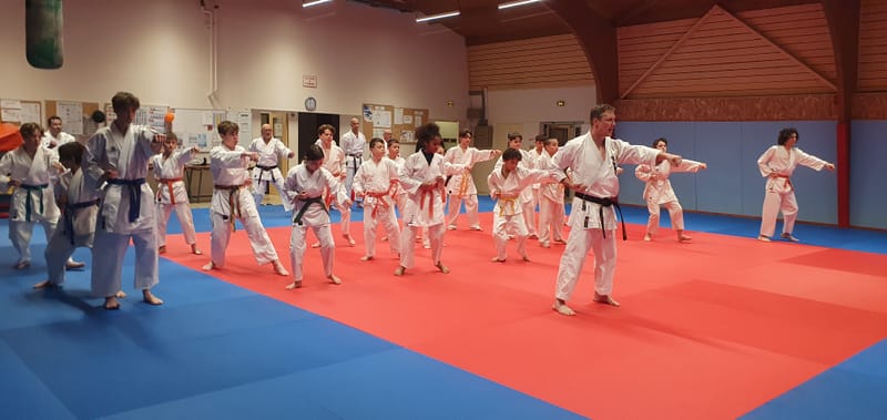 Stage Stéphane CASTRIQUE 7ème DAN SKIF - 03/11/2025