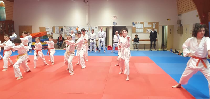 Stage Stéphane CASTRIQUE 7ème DAN SKIF - 03/11/2025