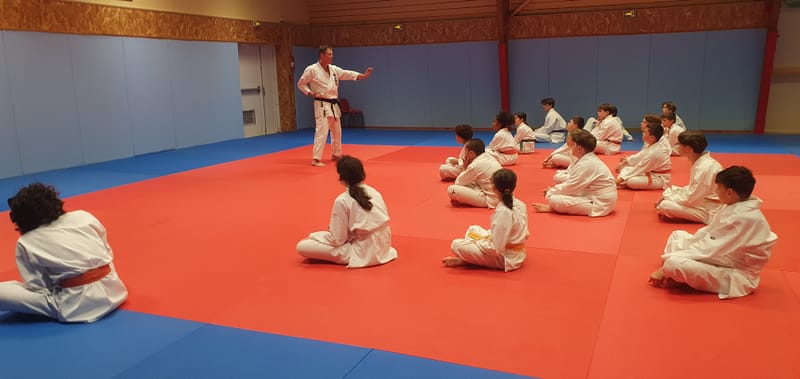 Stage Stéphane CASTRIQUE 7ème DAN SKIF - 03/11/2025