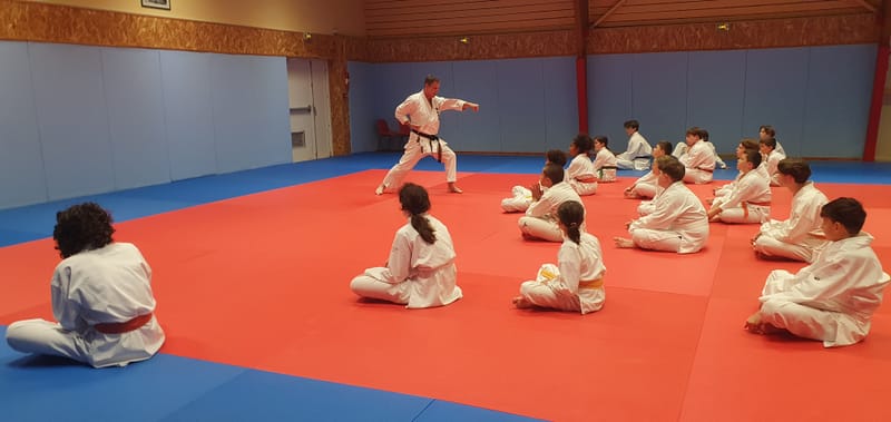 Stage Stéphane CASTRIQUE 7ème DAN SKIF - 03/11/2025