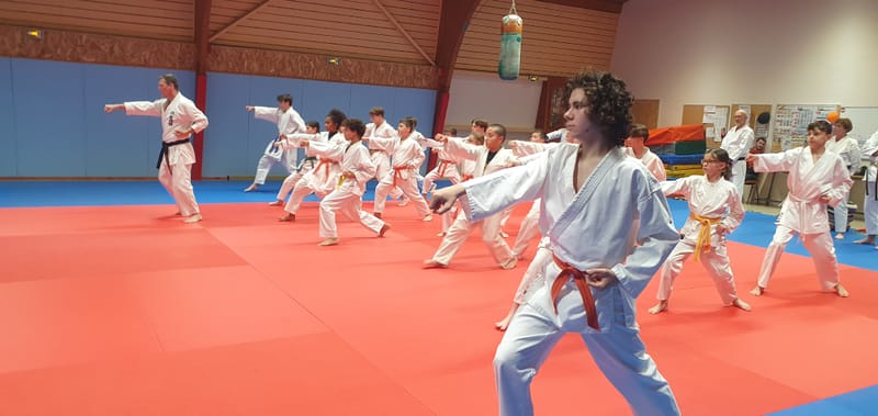 Stage Stéphane CASTRIQUE 7ème DAN SKIF - 03/11/2025