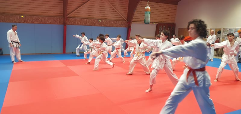 Stage Stéphane CASTRIQUE 7ème DAN SKIF - 03/11/2025