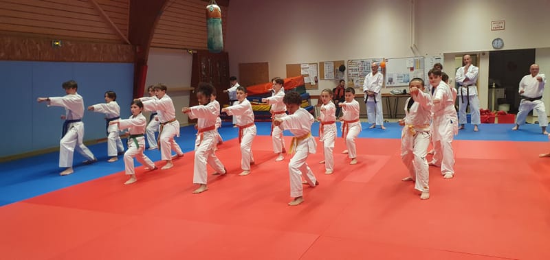 Stage Stéphane CASTRIQUE 7ème DAN SKIF - 03/11/2025