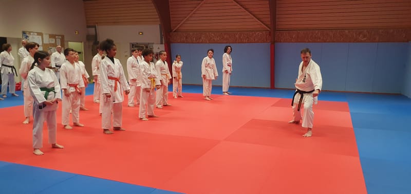 Stage Stéphane CASTRIQUE 7ème DAN SKIF - 03/11/2025