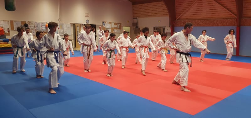 Stage Stéphane CASTRIQUE 7ème DAN SKIF - 03/11/2025