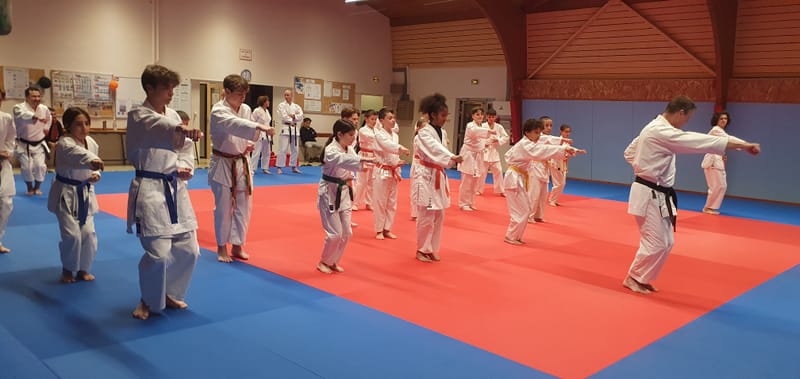 Stage Stéphane CASTRIQUE 7ème DAN SKIF - 03/11/2025