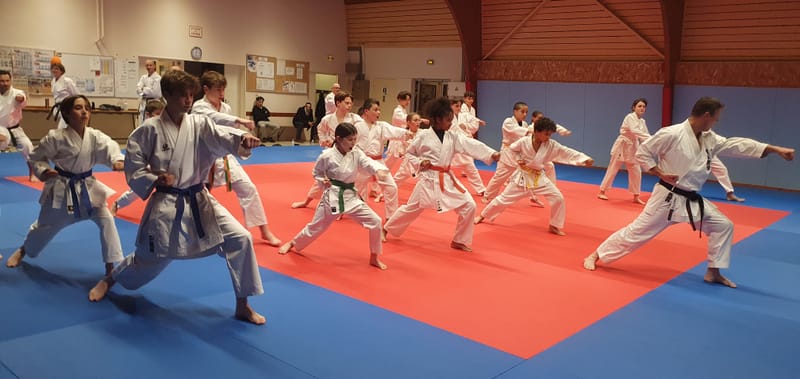 Stage Stéphane CASTRIQUE 7ème DAN SKIF - 03/11/2025